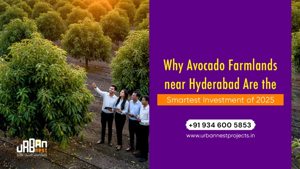 Avocado Farmlands for Sale in Hyderabad