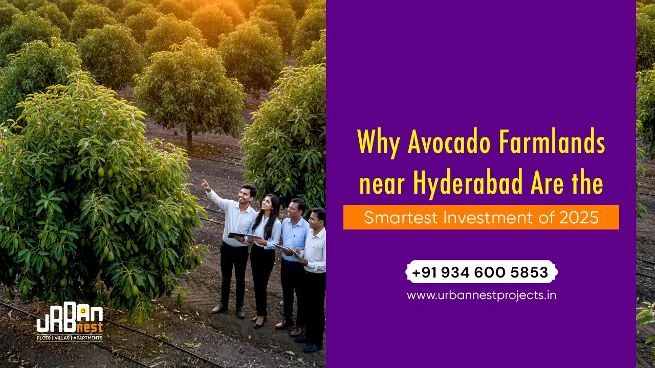 Why Avocado Farmlands near Hyderabad Are the Smartest Investment of 2025 – A Deep Dive into Lemon Tree Park, Jadcherla